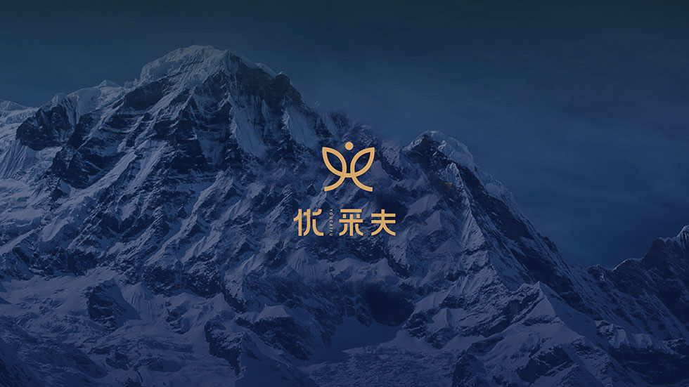 優(yōu)采夫vi設(shè)計